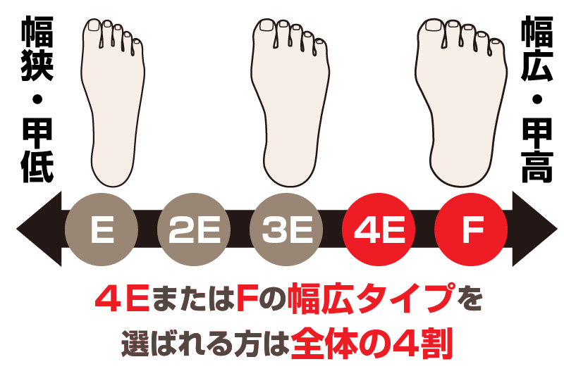 ゴルフシューズに幅広・甲高の4E、Fを選ぶ人が多い